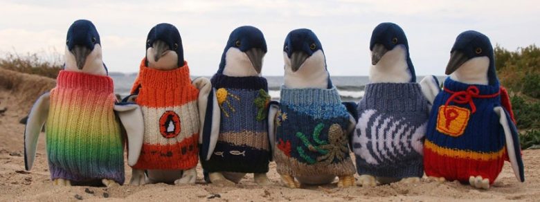 oldest-man-australia-knits-penguin-sweaters-1