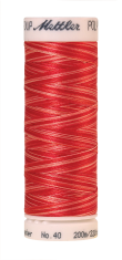 Melanžiniai siuvinėjimo siūlai Mettler Poly Sheen Multi (spalva 9924)