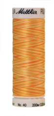 Melanžiniai siuvinėjimo siūlai Mettler Poly Sheen Multi (spalva 9925)
