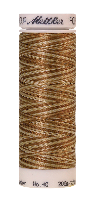 Melanžiniai siuvinėjimo siūlai Mettler Poly Sheen Multi (spalva 9926)