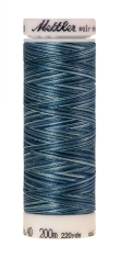 Melanžiniai siuvinėjimo siūlai Mettler Poly Sheen Multi (spalva 9928)