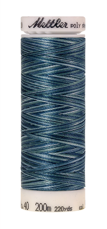 Melanžiniai siuvinėjimo siūlai Mettler Poly Sheen Multi (spalva 9928)