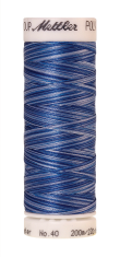 Melanžiniai siuvinėjimo siūlai Mettler Poly Sheen Multi (spalva 9929)
