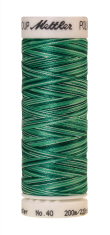 Melanžiniai siuvinėjimo siūlai Mettler Poly Sheen Multi (spalva 9931)