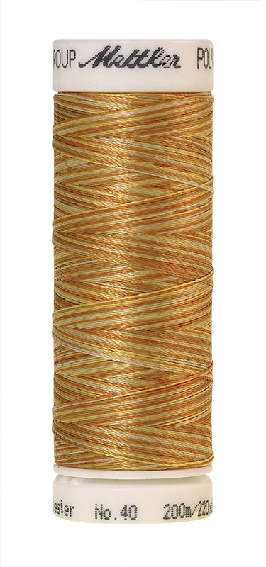 Melanžiniai siuvinėjimo siūlai Mettler Poly Sheen Multi (spalva 9933)