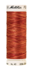 Melanžiniai siuvinėjimo siūlai Mettler Poly Sheen Multi (spalva 9934)