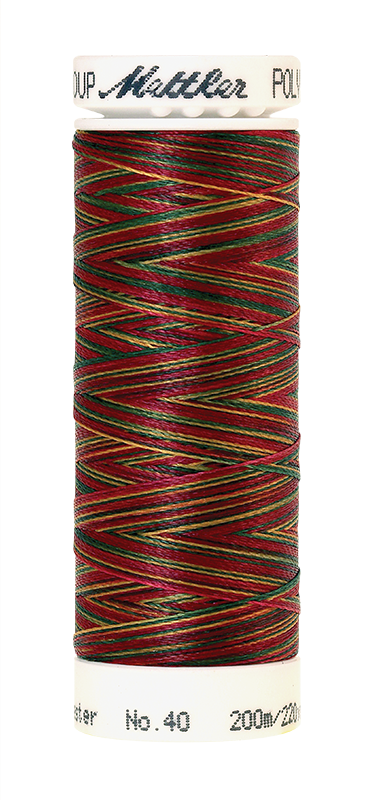 Melanžiniai siuvinėjimo siūlai Mettler Poly Sheen Multi (spalva 9938)