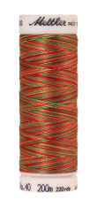 Melanžiniai siuvinėjimo siūlai Mettler Poly Sheen Multi (spalva 9939)