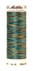 Melanžiniai siuvinėjimo siūlai Mettler Poly Sheen Multi (spalva 9978)