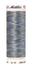 Melanžiniai siuvinėjimo siūlai Mettler Poly Sheen Multi (spalva 9980)