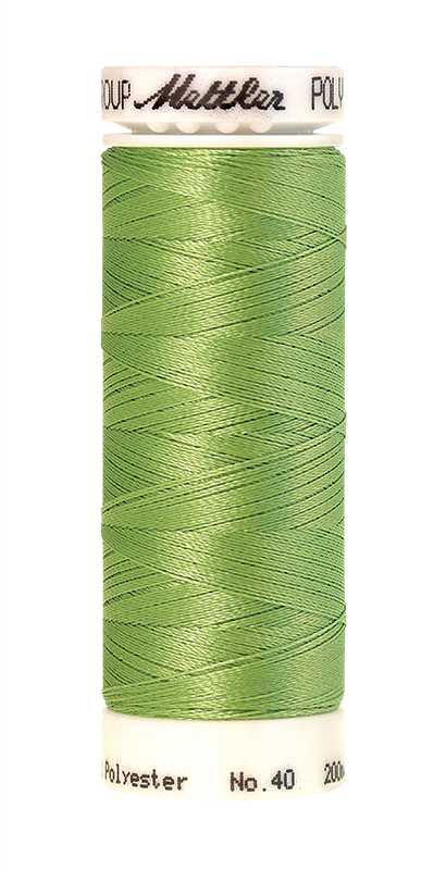 Siuvinėjimo siūlai Poly Sheen (spalva 5822)