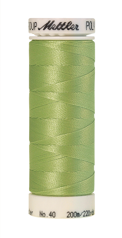 Siuvinėjimo siūlai Poly Sheen (spalva 6051)