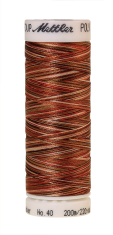 Melanžiniai siuvinėjimo siūlai Mettler Poly Sheen Multi (spalva 9302)