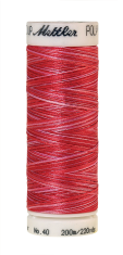Melanžiniai siuvinėjimo siūlai Mettler Poly Sheen Multi (spalva 9405)