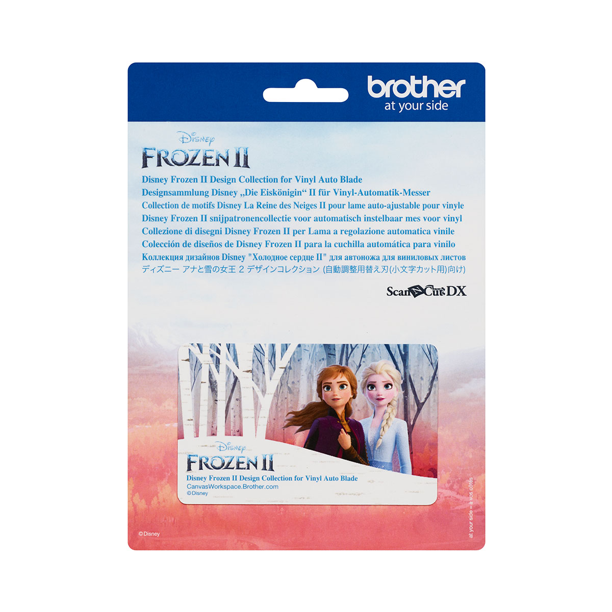 Disnėjaus Frozen raštų aktyvacijos kortelė nr. 2 CADXDSNP11