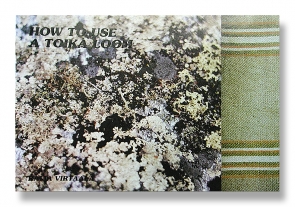 Kaip naudoti Toika stakles, Raija Virtaala — knyga, PDF